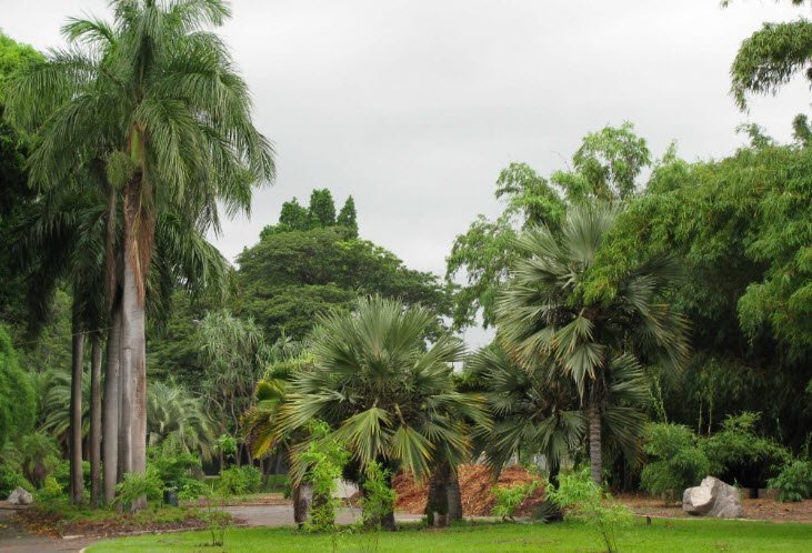 Anderson Park, Australia